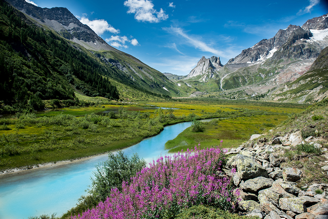 A water stream surrounded by mountains and flowers on a sunny day